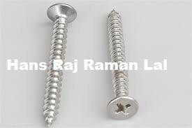 Stainless Steel Self Tapping Screws Exporter